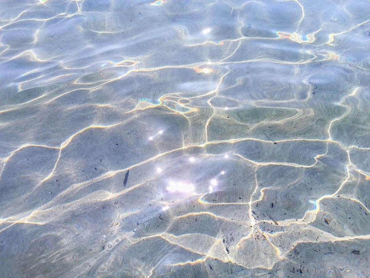 Attico Di Design Vista Mare Διαμέρισμα Santa Marinella Εξωτερικό φωτογραφία