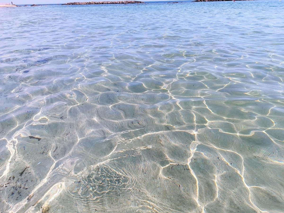 Attico Di Design Vista Mare Διαμέρισμα Santa Marinella Εξωτερικό φωτογραφία